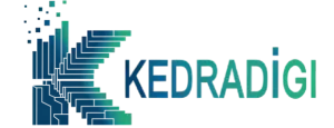 kedra Digi logo